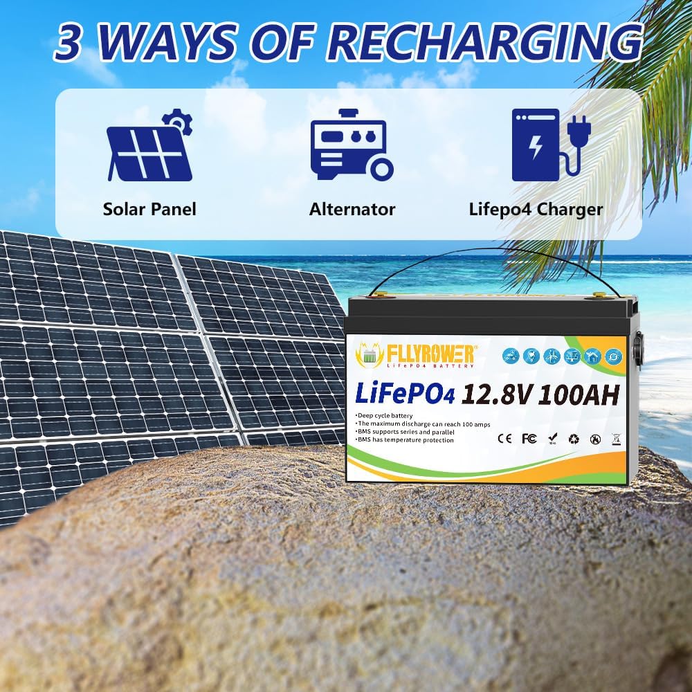 FLLYROWER 12V 300Ah LiFePO4 Battery,200A BMS Rechargeable Lithium Battery,16000+ Deep Cycles,for RV,Solar,Motorhome and Boats,Camping,off-Grid,with a Charger