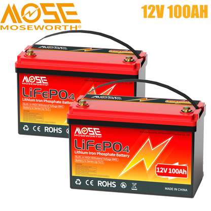 2Pack 12V 100AH LiFePO4 Lithium Battery 100A BMS for RV, Backup Power, Solar