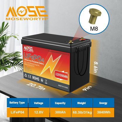 300Ah LiFePO4 Battery,200A BMS,up 15000 Cycles